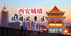 口交舔BBB中国陕西-西安城墙旅游风景区